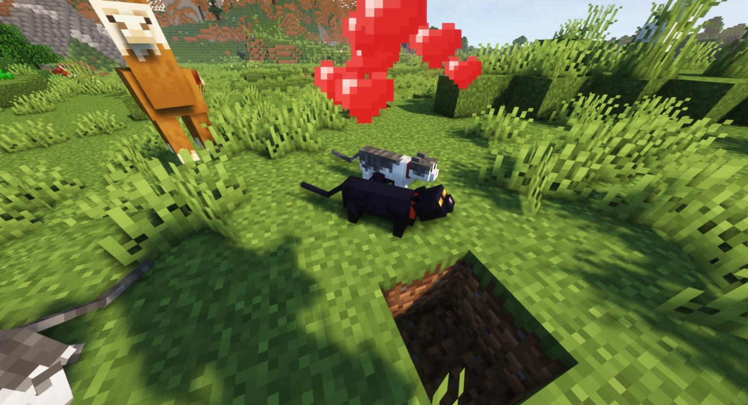 Jak oswoić kota w Minecraft? - Portal dla graczy RitzyRanger