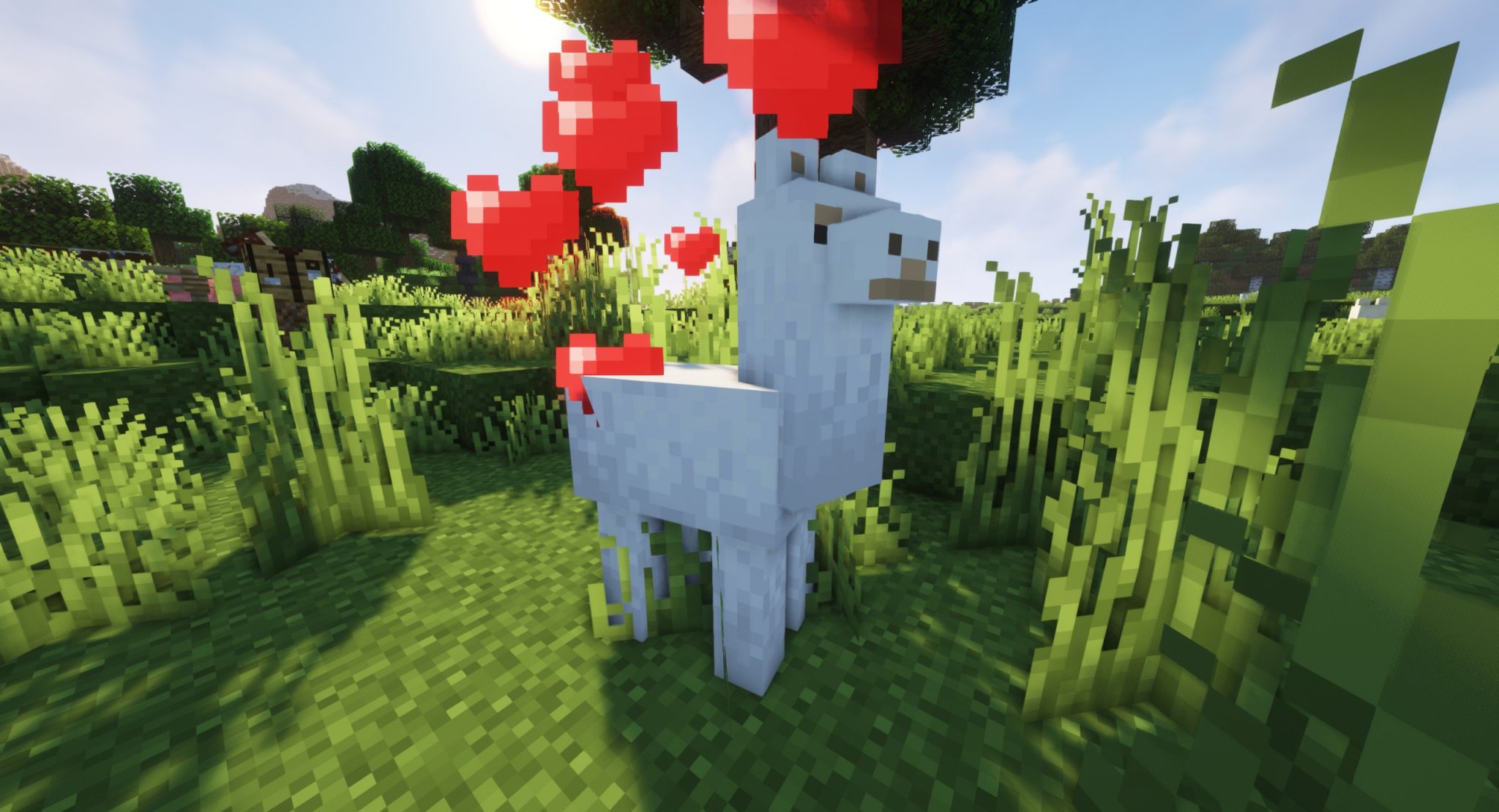 Lamy Minecraft - co jedzą lamy w Minecraft? Hodowla - Portal dla graczy