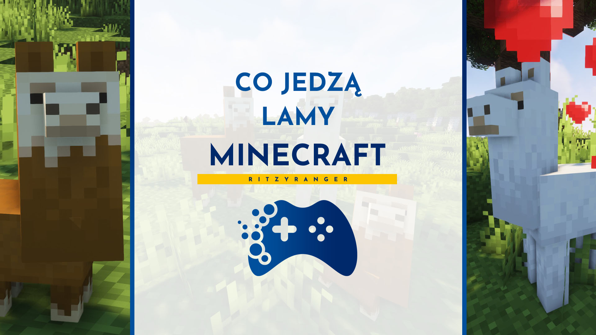 Lamy Minecraft - co jedzą?