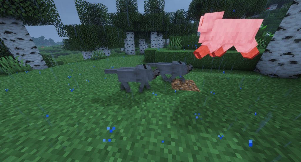 Wilki atakujące owce Minecraft