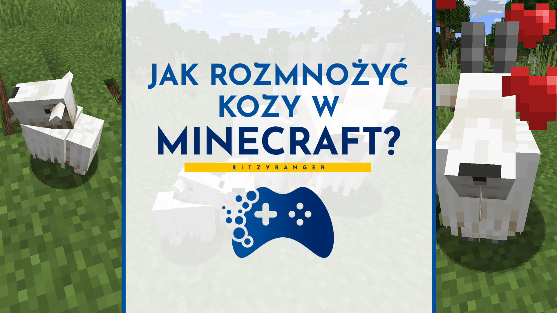 Jak rozmnożyć kozy w Minecraft? Co warto wiedzieć o kozach w Minecrafcie?