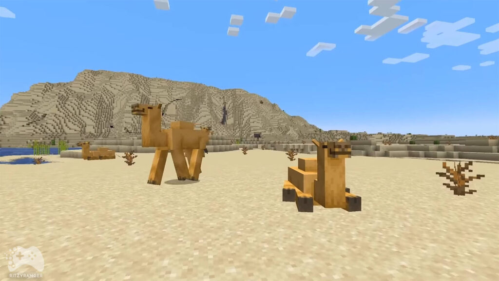 Wielbłądy w Minecraft 1.20