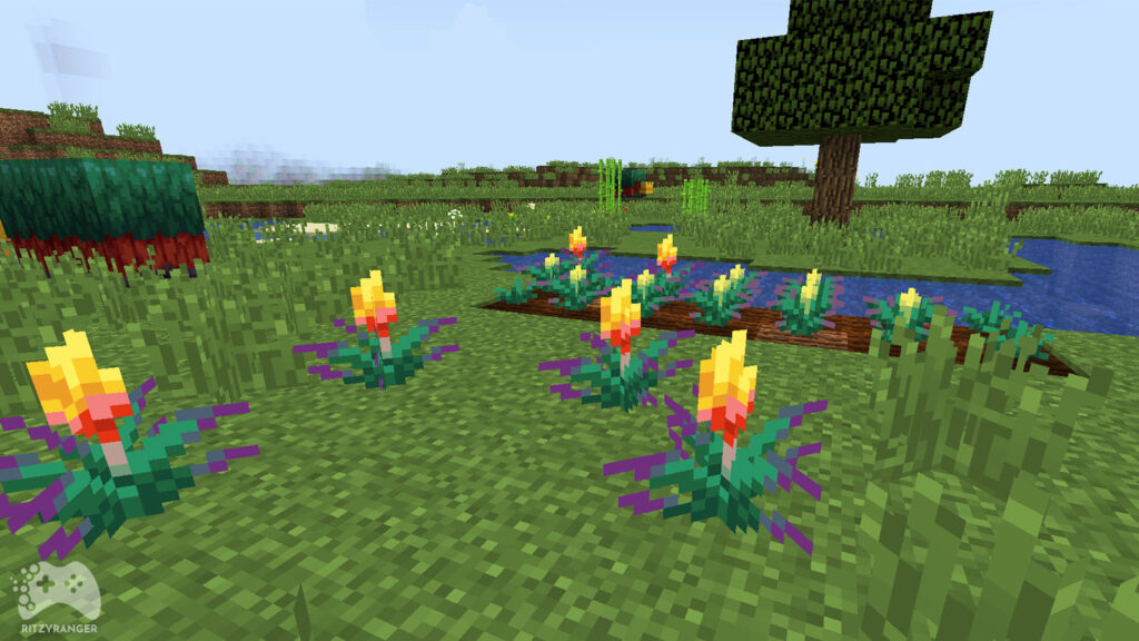 Nowy kwiat Minecraft 1.20 Snapshot 23w07a