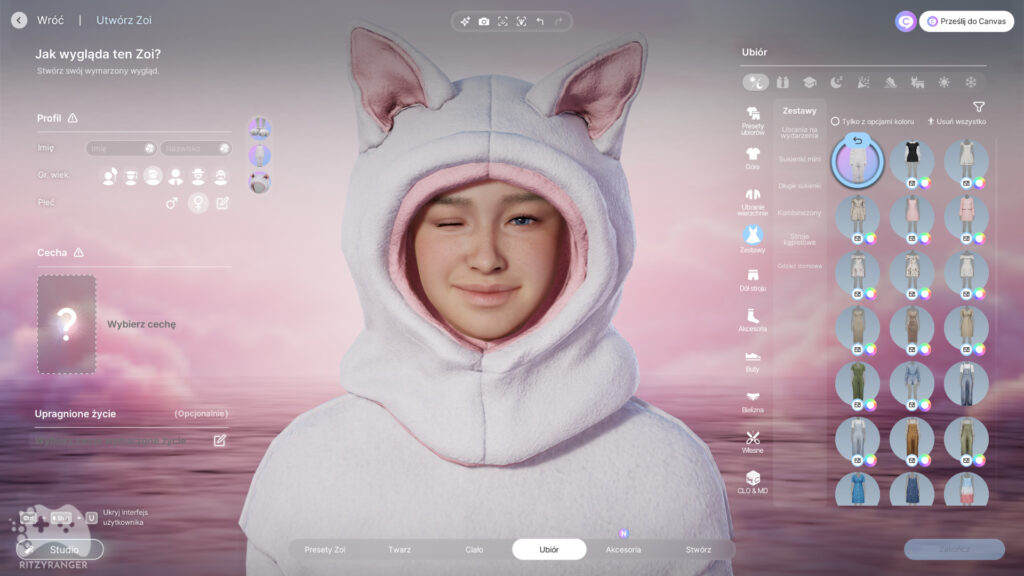 Strój kota w inZOI nagroda