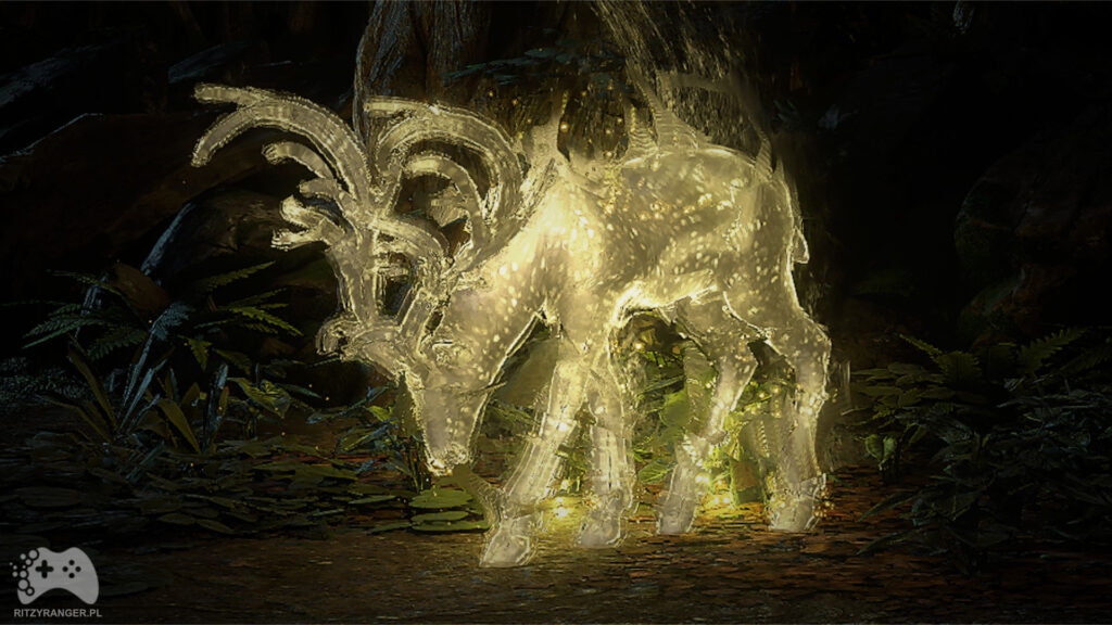 Nowe informacje o filtrach przedmiotów w Path of Exile 2 - pełna lista nowych i zaktualizowanych przedmiotów