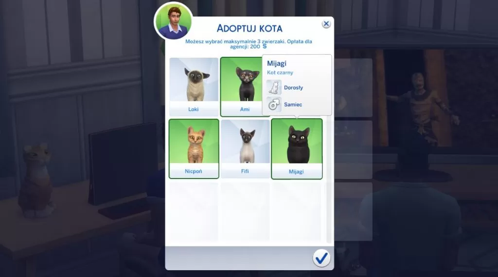 Adopcja kota w The Sims 4