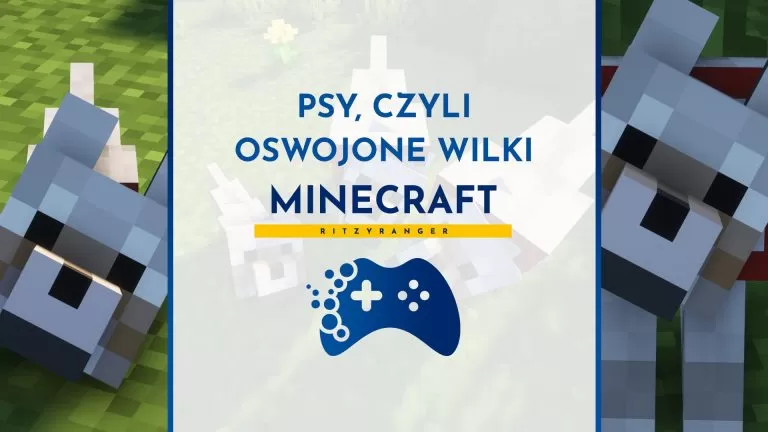 Psy Minecraft