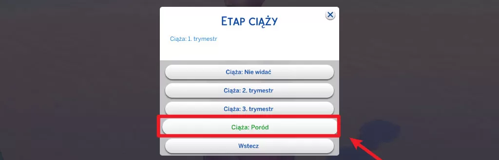 The Sims 4 jak przyspieszyć ciąże