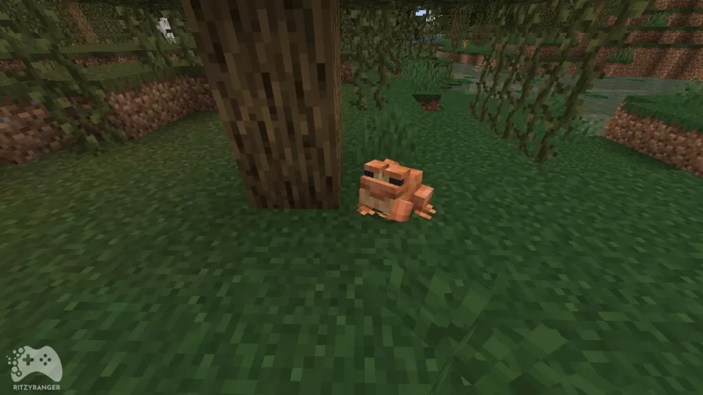 żaby i kijanki Minecraft