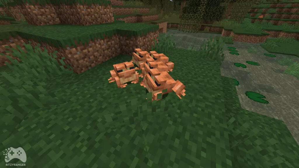 Żaby Minecraft