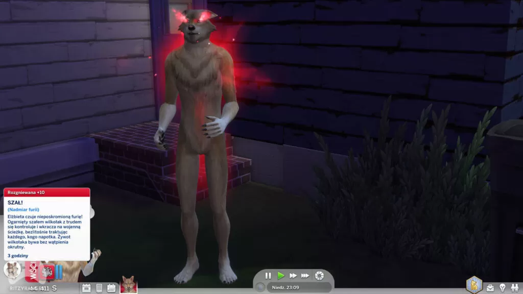 Etap zostania wilkiem w the sims 4