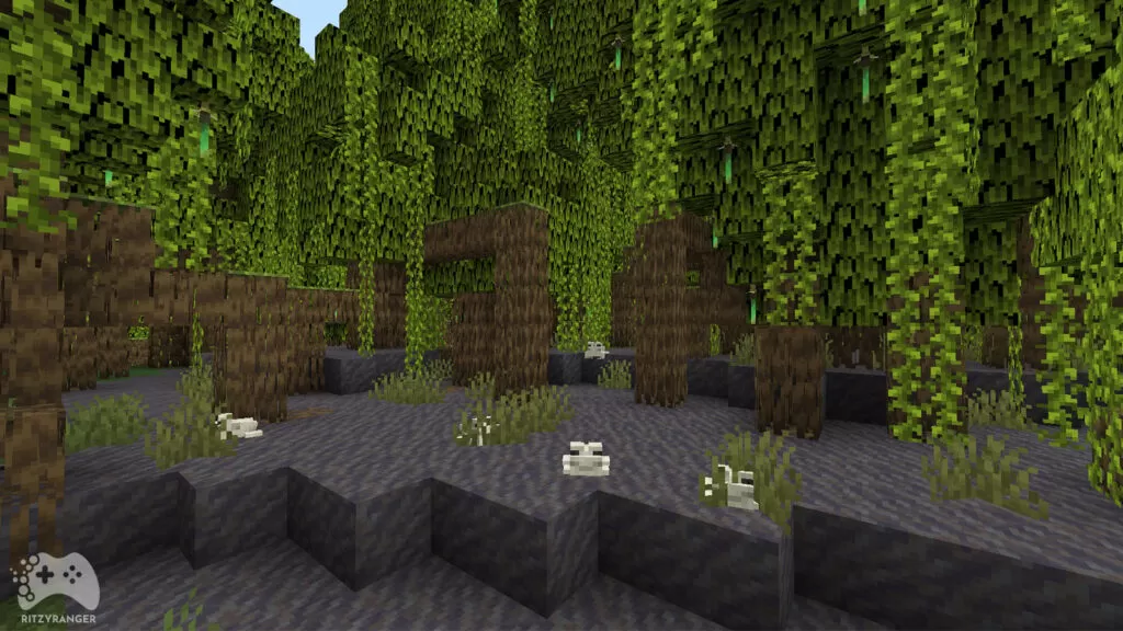 Namorzynowe bagna przegląd minecraft 1.19