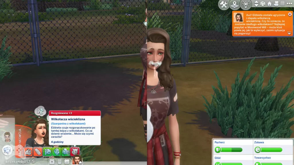 Wilkołacza wścieklizna The Sims 4