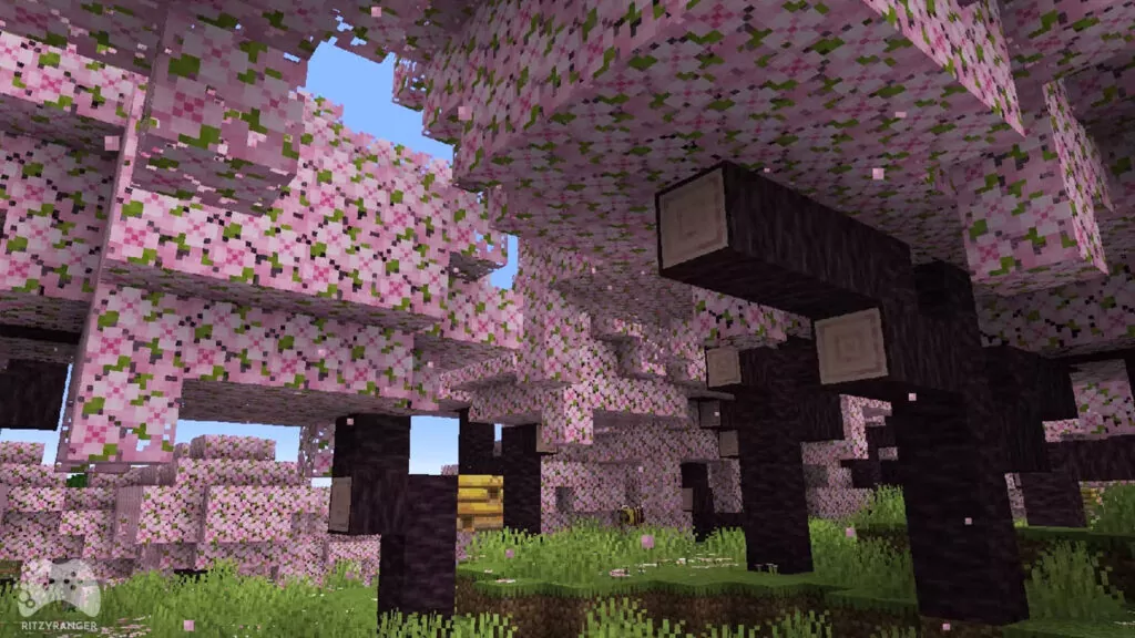 Drzewa kwitnącej wiśni minecraft 1.20