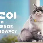 cena inzoi ile będzie kosztować