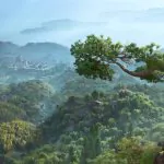 Assassin’s Creed Shadows depcze po piętach Monster Hunter Wilds